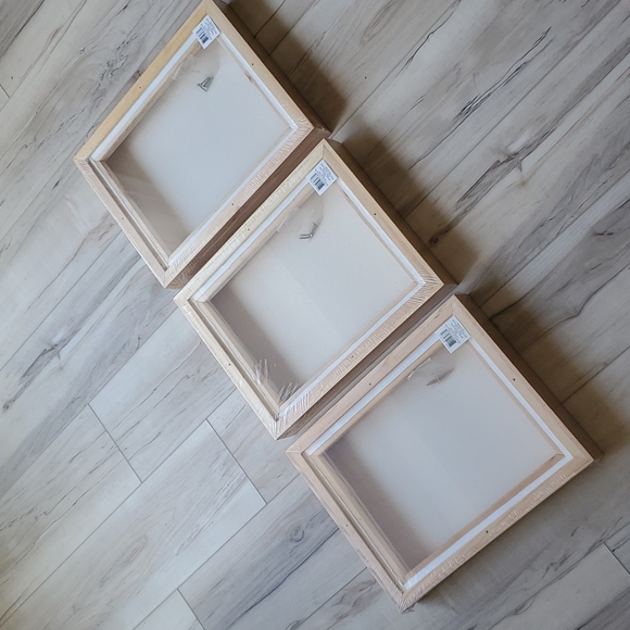 x3 Canvas with Wooden Frame - Picture 2 of 6